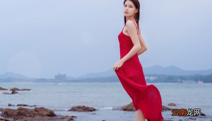 seide是什么面料seide是哪种面料