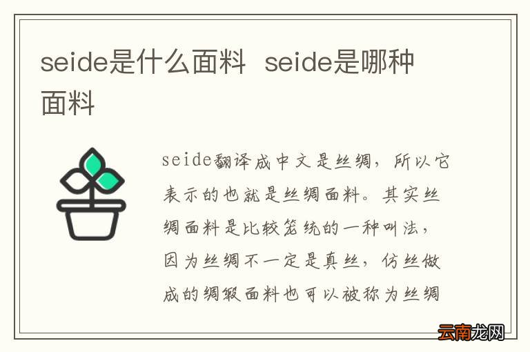 seide是什么面料seide是哪种面料