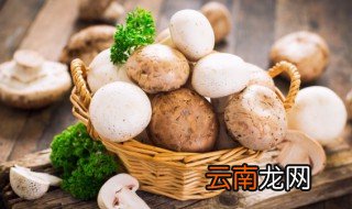 菌菇怎么保存 菌菇的保存方法