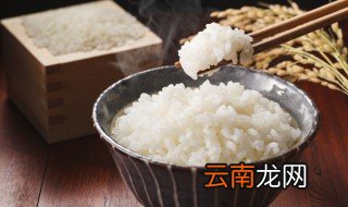 米饭怎么保存 米饭的保存方法
