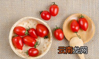 小番茄怎么保存 小番茄的保存方法