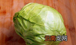 包菜怎么保存两个月 包菜如何保存