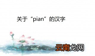 pian的汉字 其中关于片字的成语有哪些