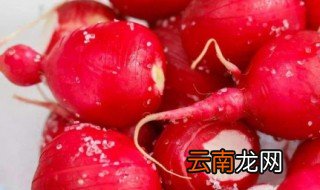 东北红皮大萝卜的腌制方法 保证你吃到停不下嘴来