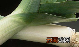 楼房大葱怎样保存过冬 告诉你正确的保鲜方法