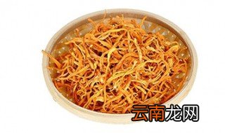 虫花草有什么功效 虫花草的作用