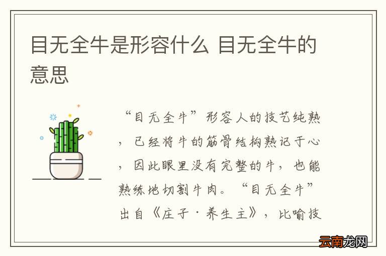 目无全牛是形容什么 目无全牛的意思