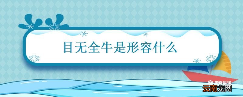 目无全牛是形容什么 目无全牛的意思