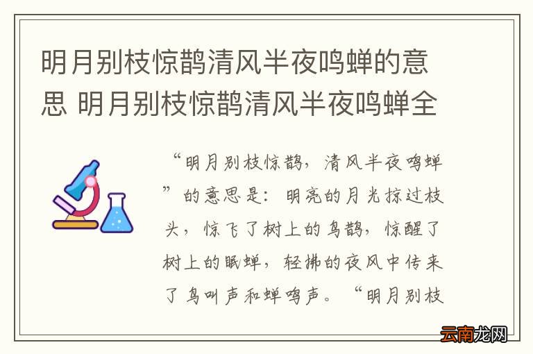 明月别枝惊鹊清风半夜鸣蝉的意思 明月别枝惊鹊清风半夜鸣蝉全诗