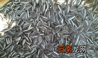 生瓜子的功效与作用 生瓜子的功效与作用有哪些