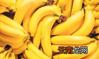 香蕉功效作用与禁忌 香蕉功效有哪些