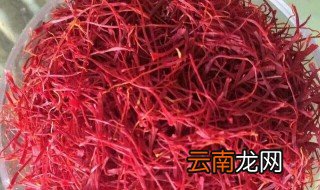 红花的功效与作用与藏红花区别是什么 红花和藏红花一样吗