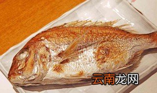 周鱼怎么读 大家可以学习一下