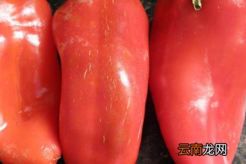 青椒和红椒的区别