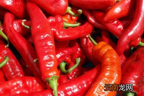 青椒和红椒的区别