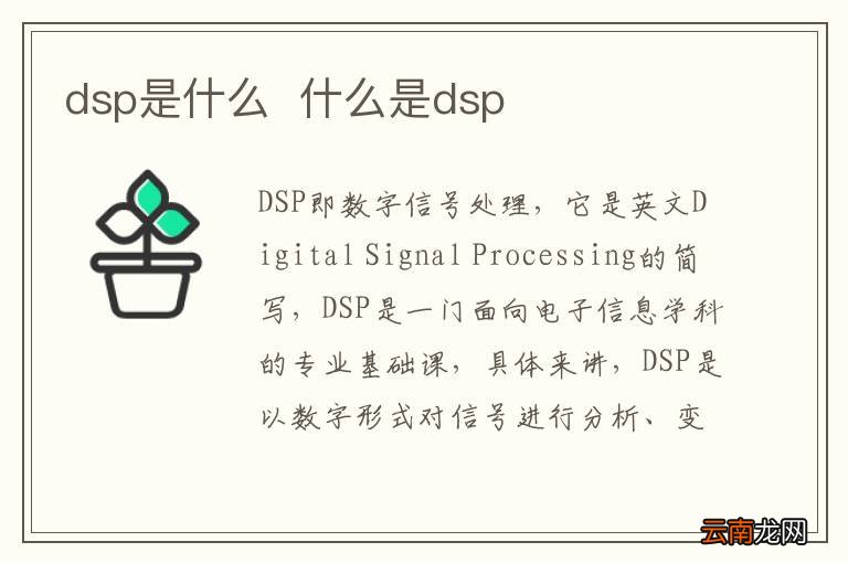 dsp是什么什么是dsp
