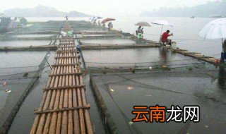 桥筏技巧 桥筏钓鱼技巧