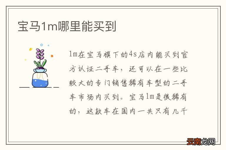 宝马1m哪里能买到