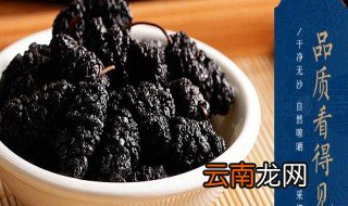 黑桑葚泡水的功效与作用 桑葚对人体的好处