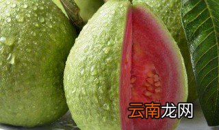 芭乐红心功效与作用 红心芭乐对人体的好处