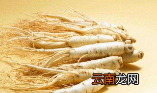 太子参的功效与作用及禁忌 太子参的功效与作用及禁忌是什么
