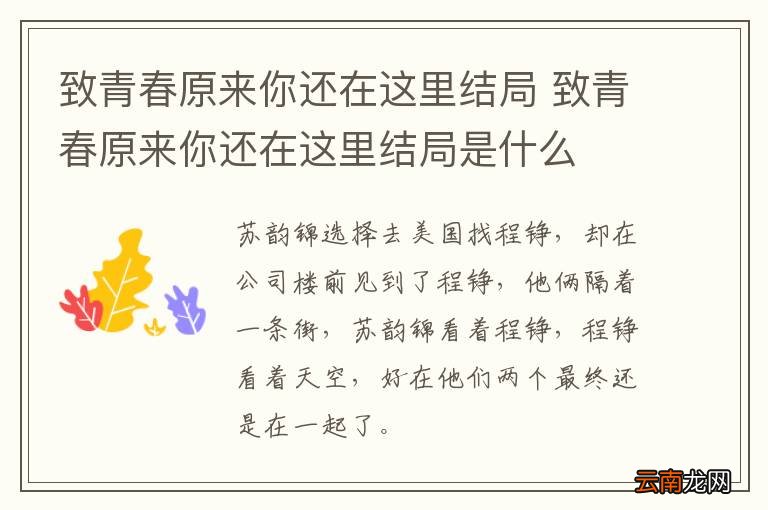 致青春原来你还在这里结局 致青春原来你还在这里结局是什么