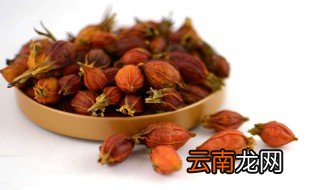 枝子和栀子的区别 关于枝子的习性