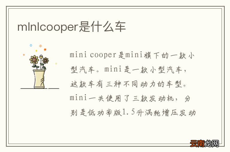 mlnlcooper是什么车