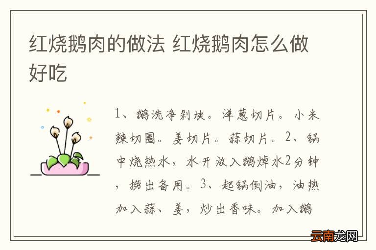 红烧鹅肉的做法 红烧鹅肉怎么做好吃