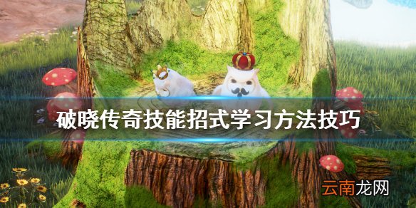 破晓传说技能招式怎么学 破晓传奇技能招式学习方法技巧