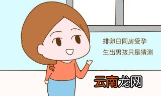 女性排卵期介绍 怎么计算排卵期