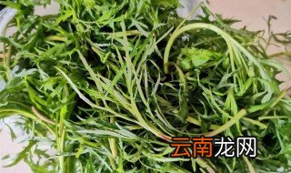 柳蒿芽的作用与功效 有哪些作用与功效呢