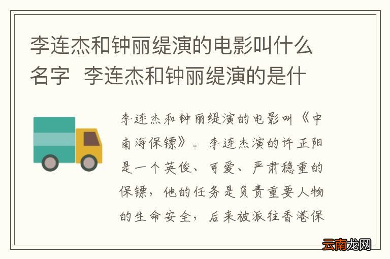 李连杰和钟丽缇演的电影叫什么名字李连杰和钟丽缇演的是什么电影