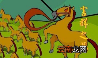 害群之马成语故事 学学成语故事
