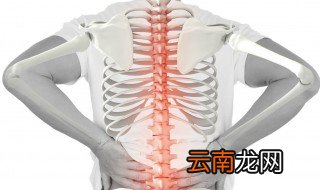 脊的拼音 脊柱的脊原来这么念