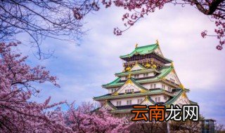 奈良是大阪的吗 一个人的日本关西之行