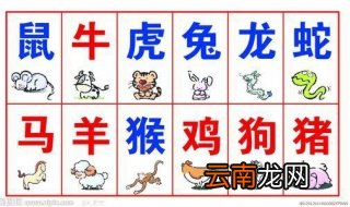 明年是什么年 2020是什么年