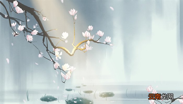 世人无贤不肖,皆言忍翻译 世上无贤不肖皆言忍百科翻译