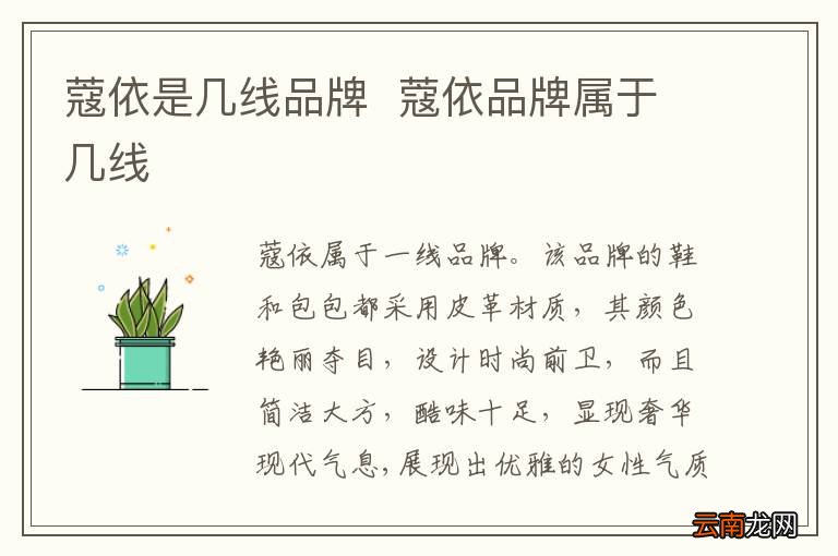 蔻依是几线品牌蔻依品牌属于几线