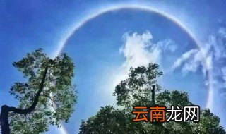 三伏天泡脚的好处 三伏天从什么时候开始