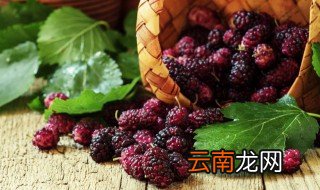 桑椹的功效与作用 桑椹介绍
