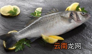 哪个鱼刺多哪个鱼刺少 刺多刺少的鱼简介