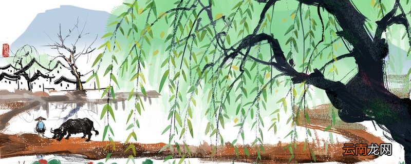 已带斜阳又带蝉描写的植物是 已带斜阳又带蝉描写的植物是什么