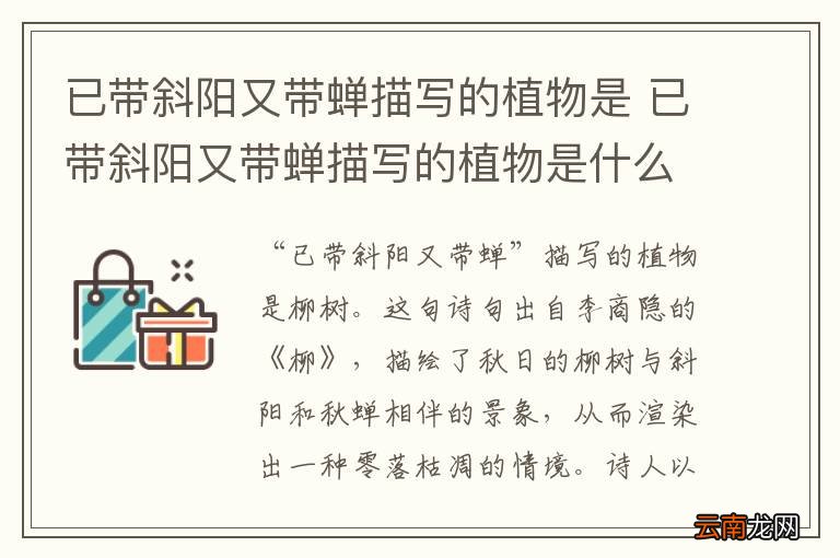 已带斜阳又带蝉描写的植物是 已带斜阳又带蝉描写的植物是什么