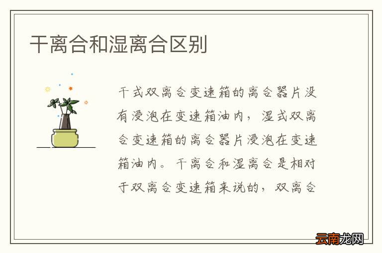 干离合和湿离合区别