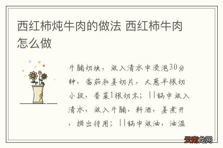 西红柿炖牛肉的做法 西红柿牛肉怎么做
