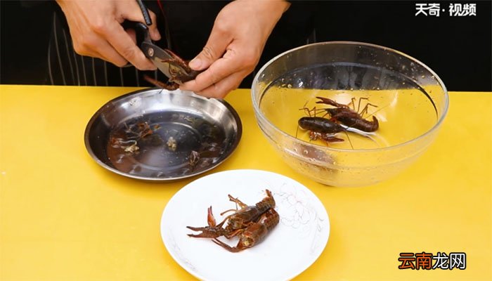麻辣龙虾的做法 麻辣龙虾怎么做
