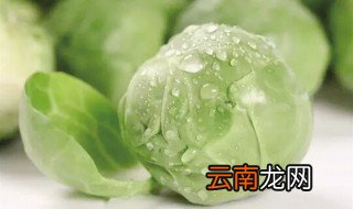 甘蓝的营养价值 甘蓝的食用功效有哪些