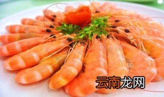明虾的营养价值及功效 明虾的营养价值及功效是什么