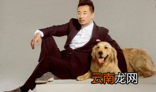 黄海波不再做演员真的吗 请看回答